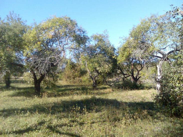 Макове з panoramio.com - Маково