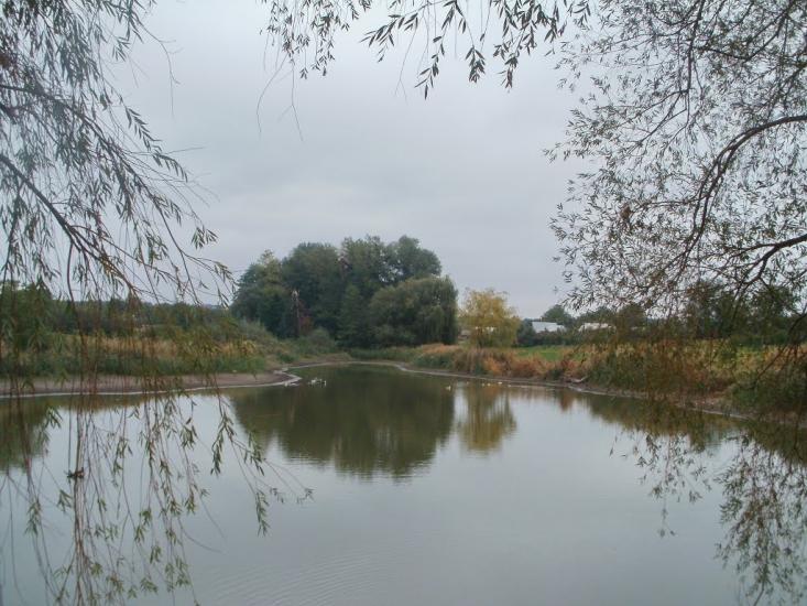Чечелівка з panoramio.com - Чечелівка
