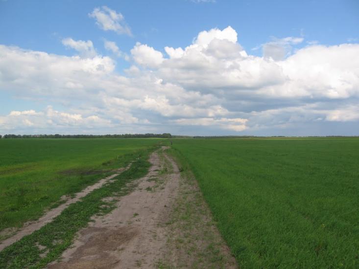 Товстоліс з panoramio.com - Толстолес