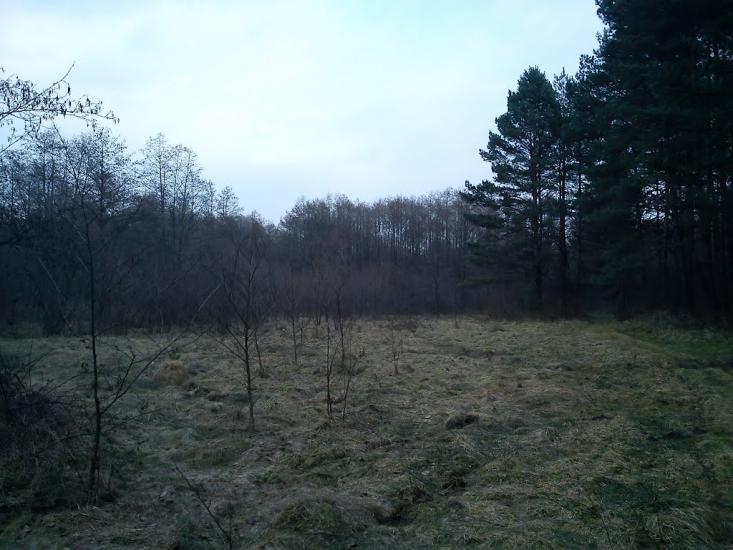 Арламівська Воля з panoramio.com - Арламівська Воля