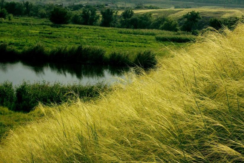 Новоукраїнка з panoramio.com - Novoukrainka