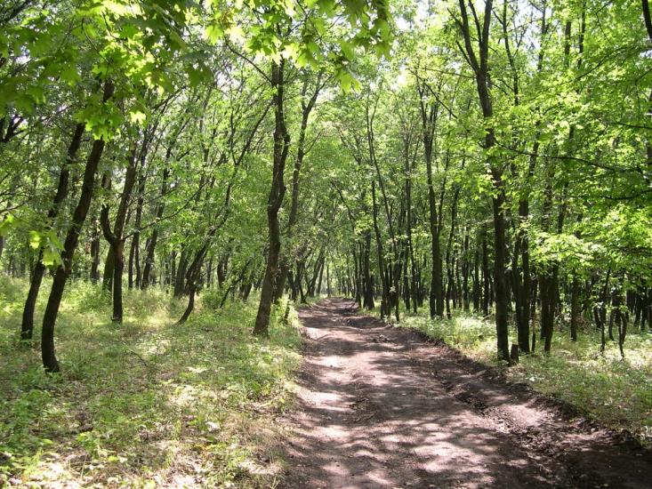 Сєверне з panoramio.com - Syeverne