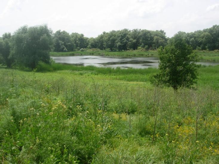 Крива Лука з panoramio.com - Крива Лука