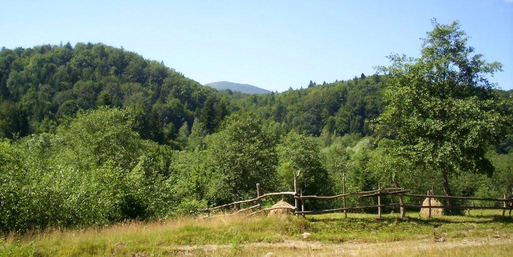 Крушельниця з panoramio.com - Крушельница
