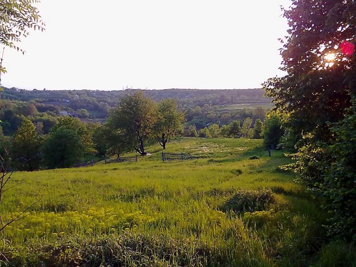 Володимирівка з panoramio.com - Володимирівка