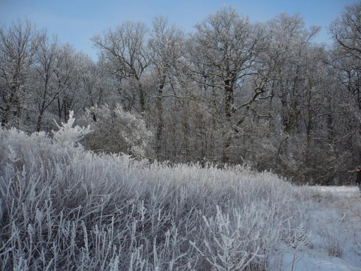 Великий Бурлук з panoramio.com - Великий Бурлук