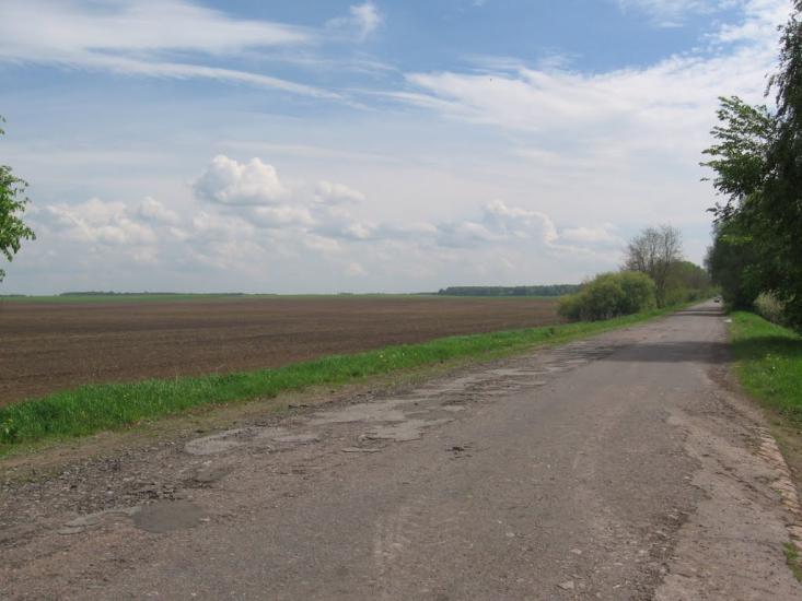 Товстоліс з panoramio.com - Толстолес