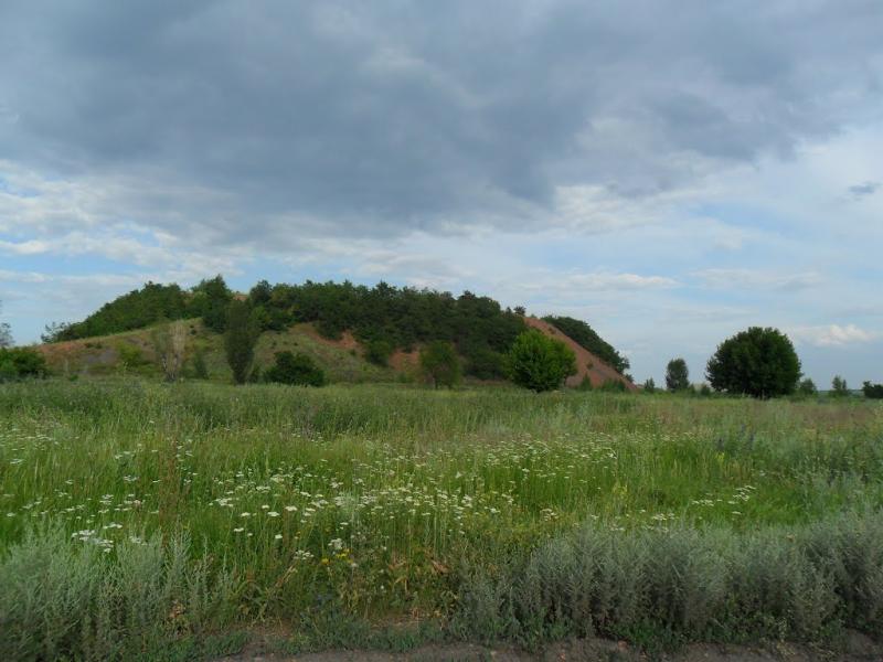 Кринична з panoramio.com - Криничная