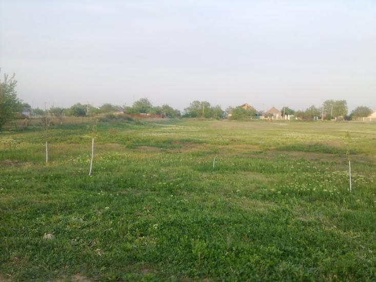 Лимани з panoramio.com - Лиманы