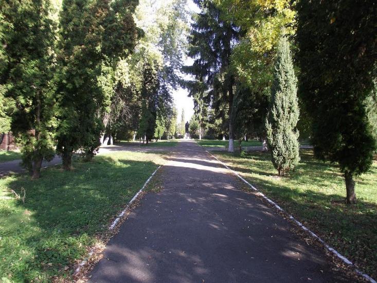 Узин з panoramio.com - Uzyn