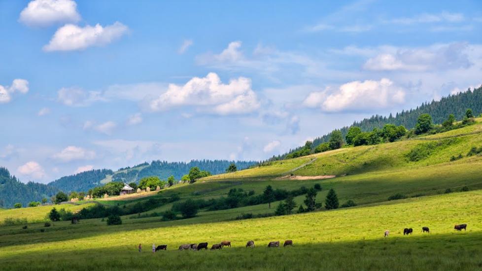 Репинне з panoramio.com - Repynne