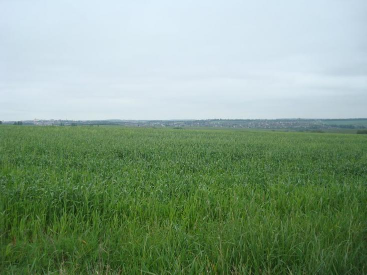 Мацьківці з panoramio.com - Мацьковцы