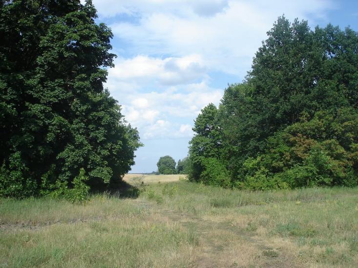 Засупоївка з panoramio.com - Засупоевка