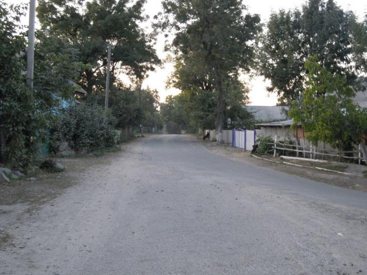 Могилівка з panoramio.com - Могилевка