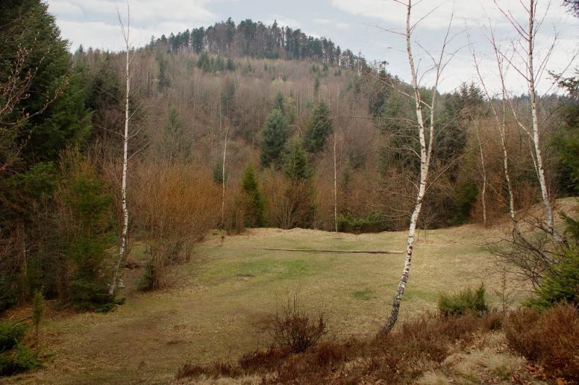 Крушельниця з panoramio.com - Krushelnytsya