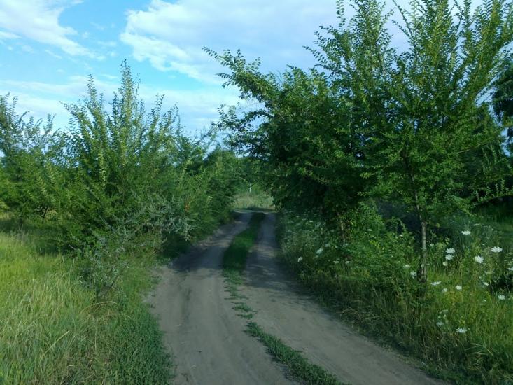 Засупоївка з panoramio.com - Засупоевка