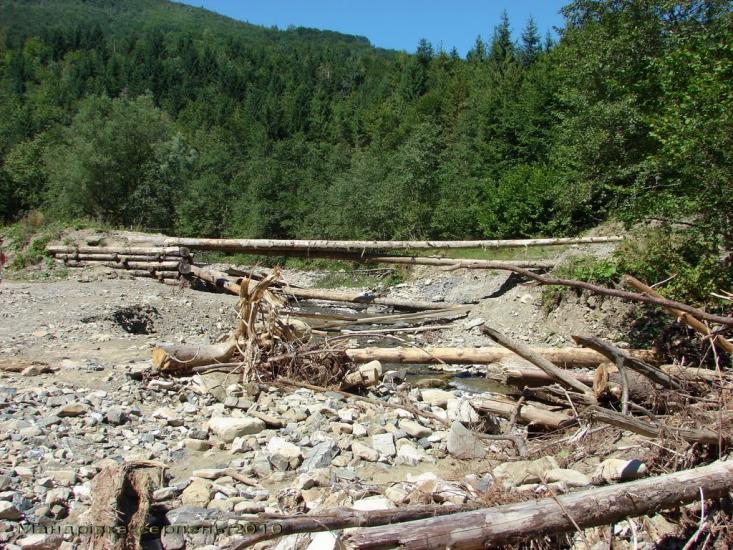 Кричка з panoramio.com - Кричка