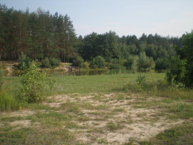 Нова Буда з panoramio.com - Новая Буда