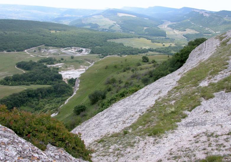 Тополі з panoramio.com - Тополі