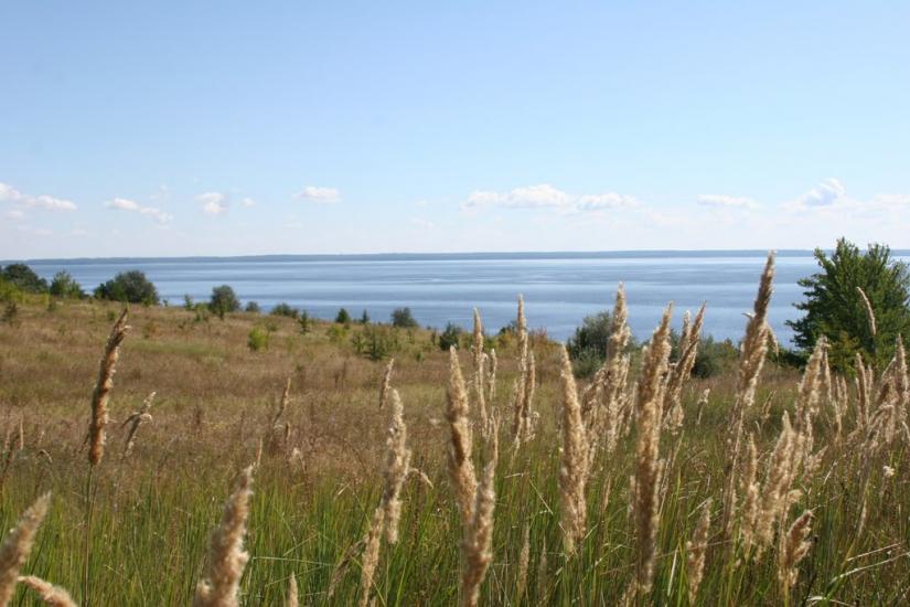Григорівка з panoramio.com - Григоровка