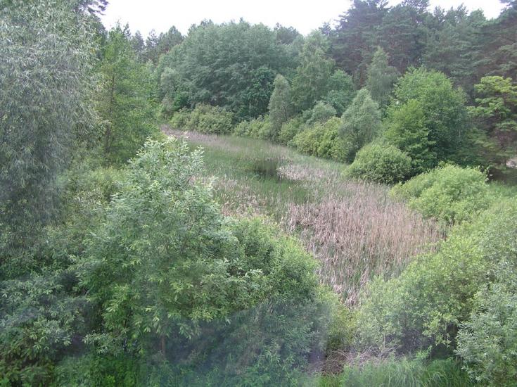 Дерев'яна з panoramio.com - Дерев'яна