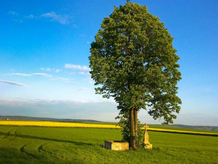 Михальча з panoramio.com - Михальча