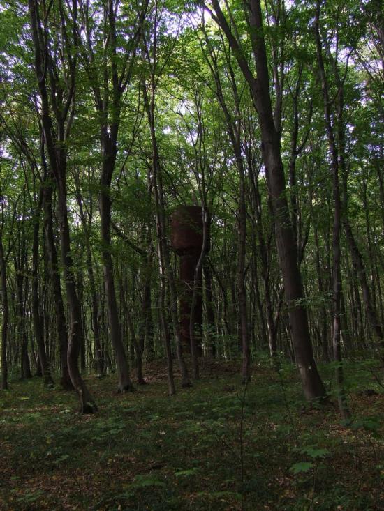 Теребовля з panoramio.com - Теребовля