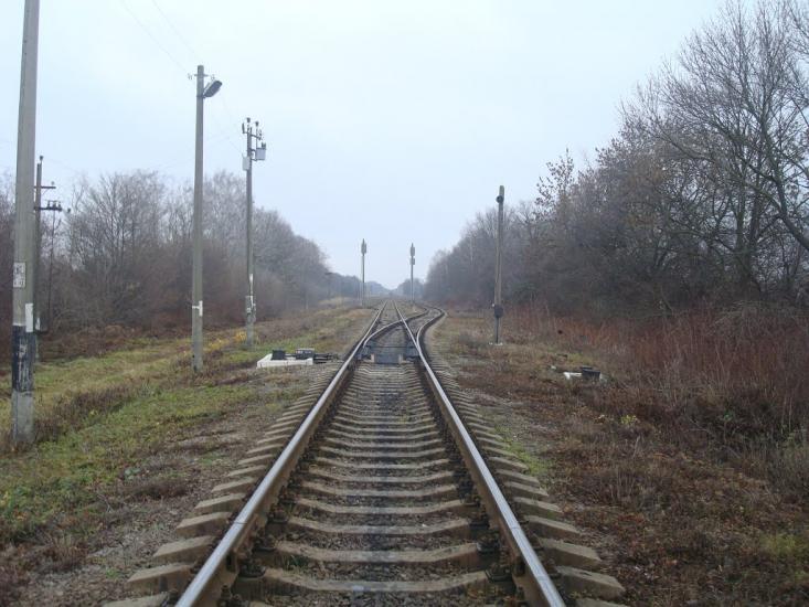 Воронківці з panoramio.com - Воронковцы
