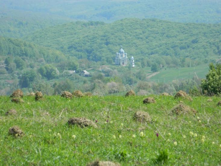 Орів з panoramio.com - Оров