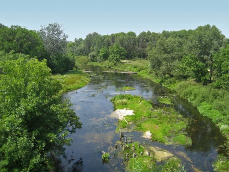 Царичанка з panoramio.com - Царичанка