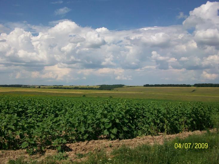 Михайлівка з panoramio.com - Михайловка