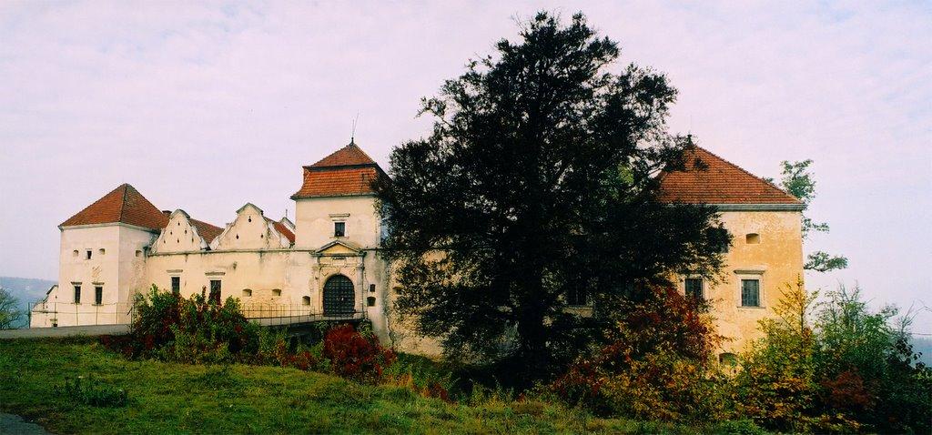 Свірж з panoramio.com - Свирж