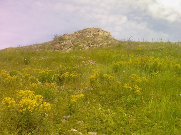 Біла з panoramio.com - Белая