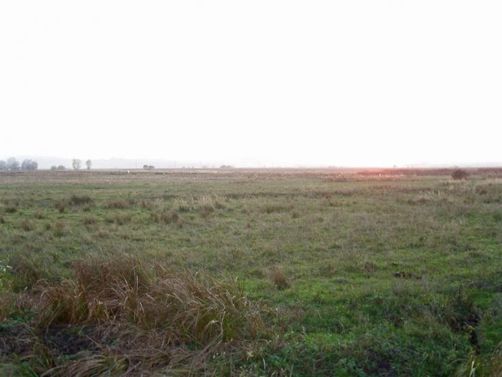 Горбівці з panoramio.com - Gorbivtsi