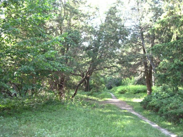 Бабичівка з panoramio.com - Бабичовка