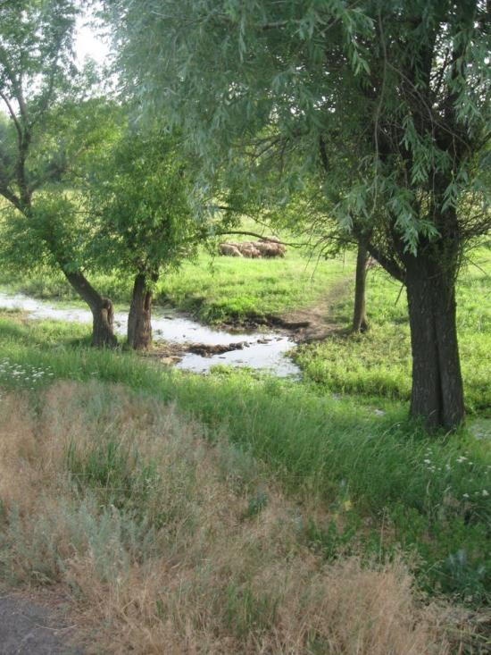 Врубівський з panoramio.com - Врубівський
