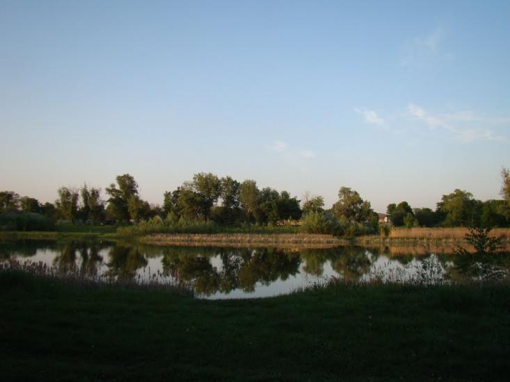 Жовтневе з panoramio.com - Жовтневое