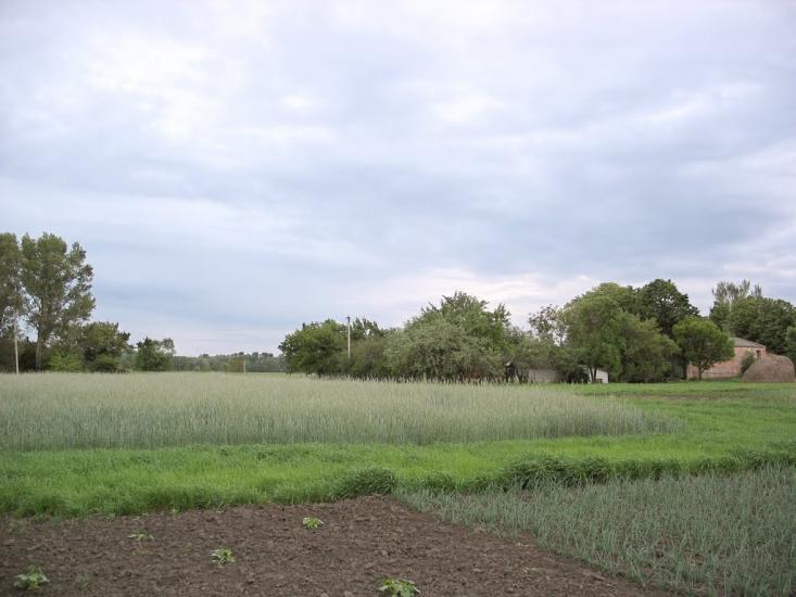 Говтва з panoramio.com - Govtva
