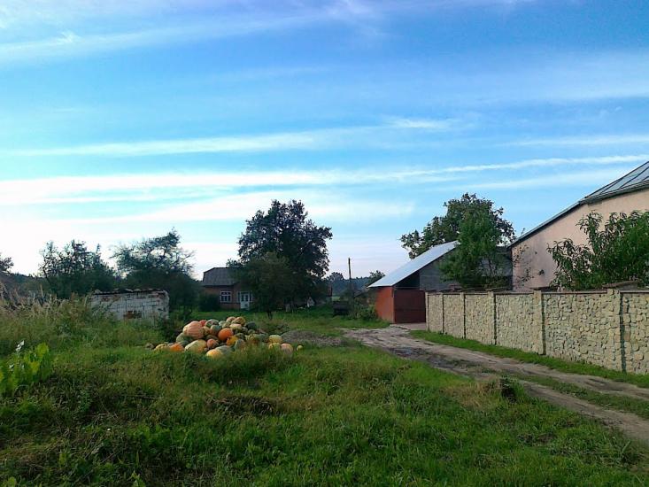 Новий Витків з panoramio.com - Новый Витков