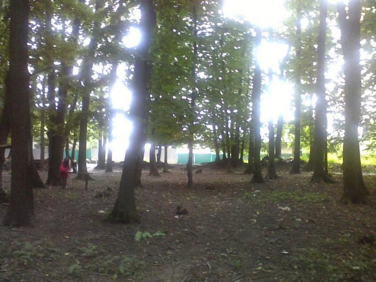 Сатанівка з panoramio.com - Сатановка