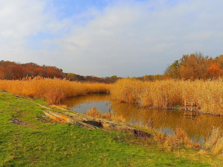 Нижня Кринка з panoramio.com - Нижняя Крынка