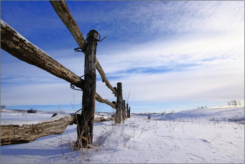 Черкаська Лозова з panoramio.com - Черкасская Лозовая