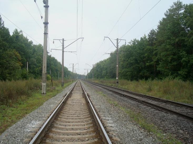 Цвітоха з panoramio.com - Tsvitokha