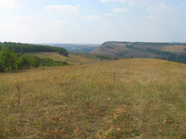 Бугаївка з panoramio.com - Бугаевка