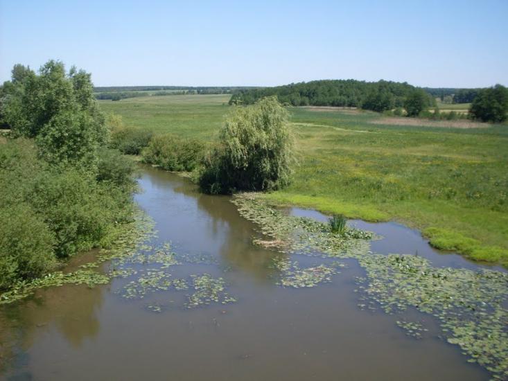 Карбівка з panoramio.com - Карбівка