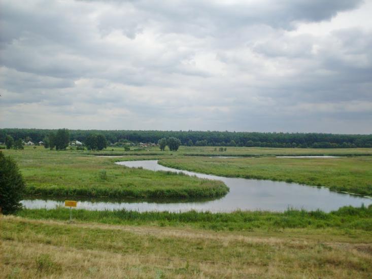 Куна з panoramio.com - Куна