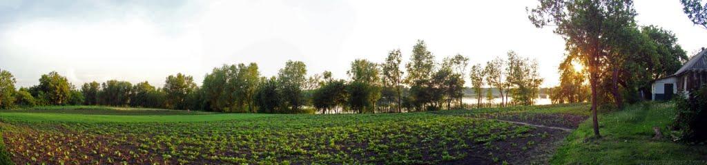Бабинці з panoramio.com - Бабинцы