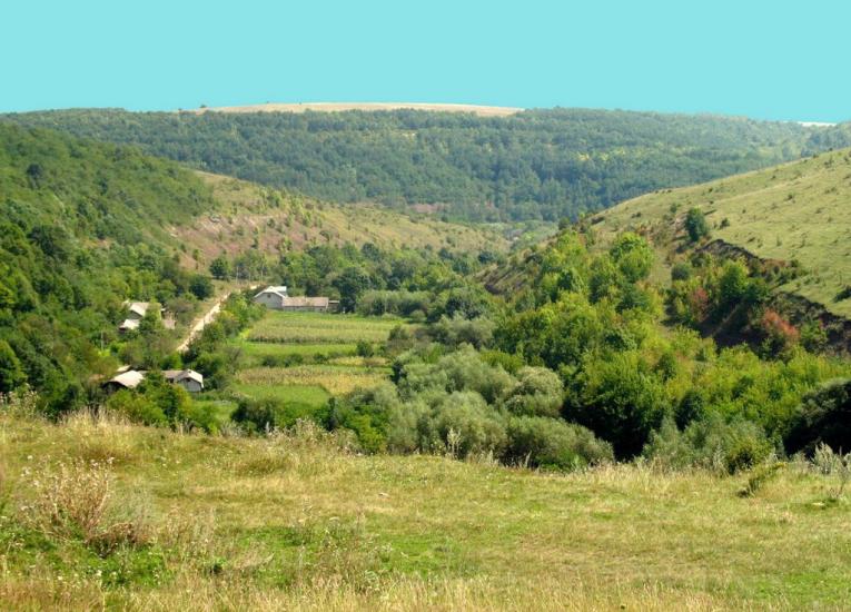 Стрільче з panoramio.com - Стрельче