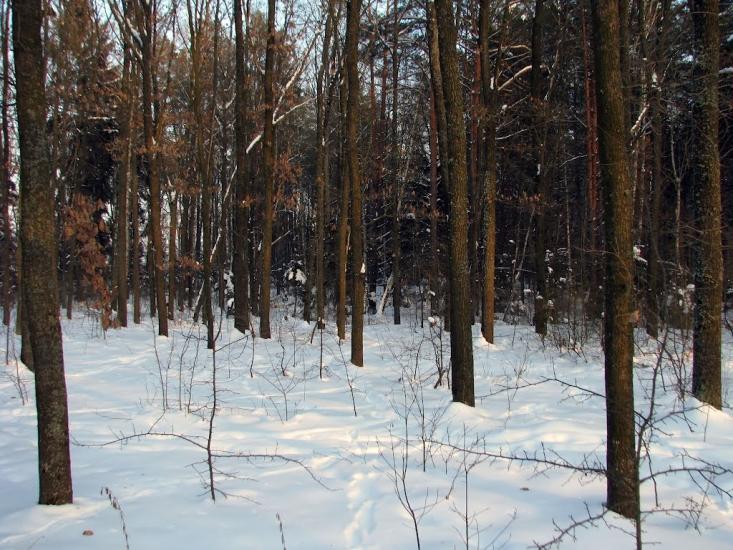 Волиця з panoramio.com - Волица