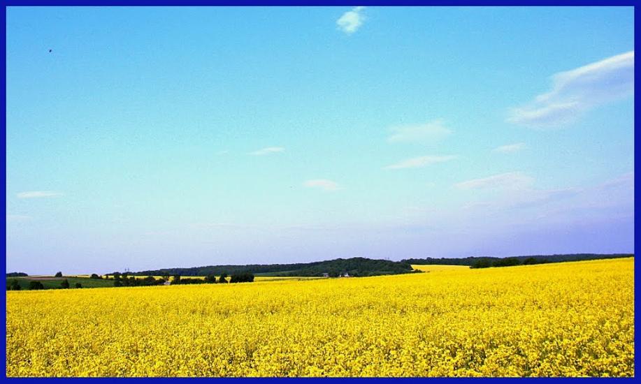 Букачівці з panoramio.com - Букачівці